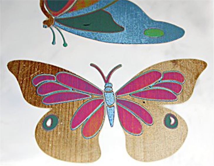 laser Color marking